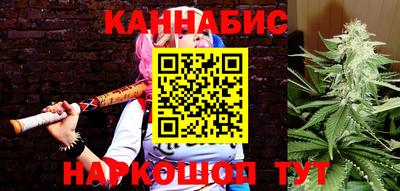 крисы Тулун